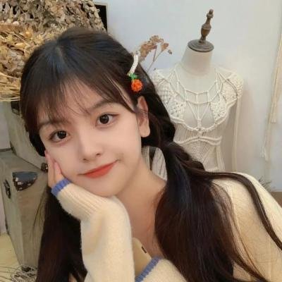 红色翅膀:火烈鸟故事